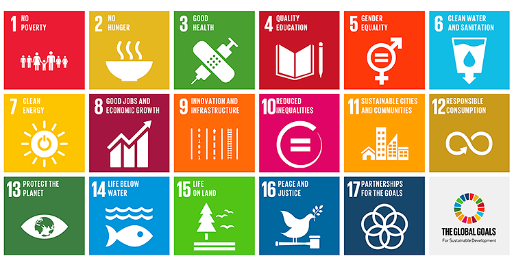17 icons showing each of the SDG goals.
