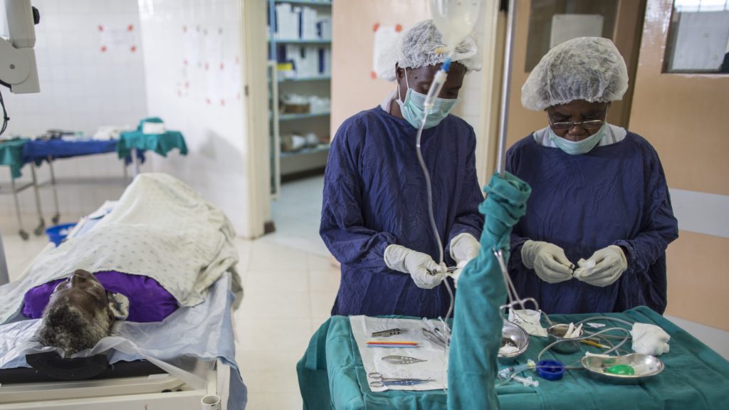 cataract-surgery-protecting-sight-sightsavers