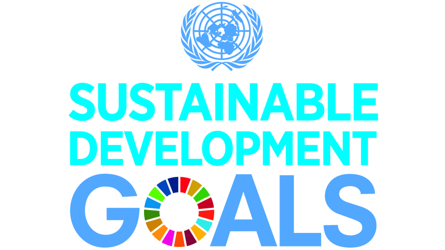 Global Goals Policy And Advocacy Sightsavers