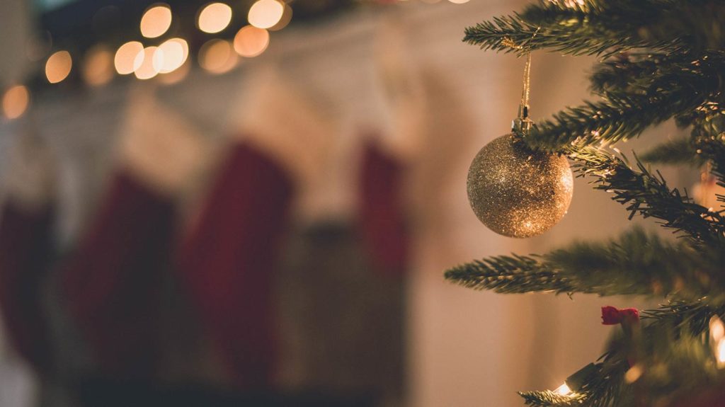Can You Crack Our Christmas Charity Crossword Sightsavers