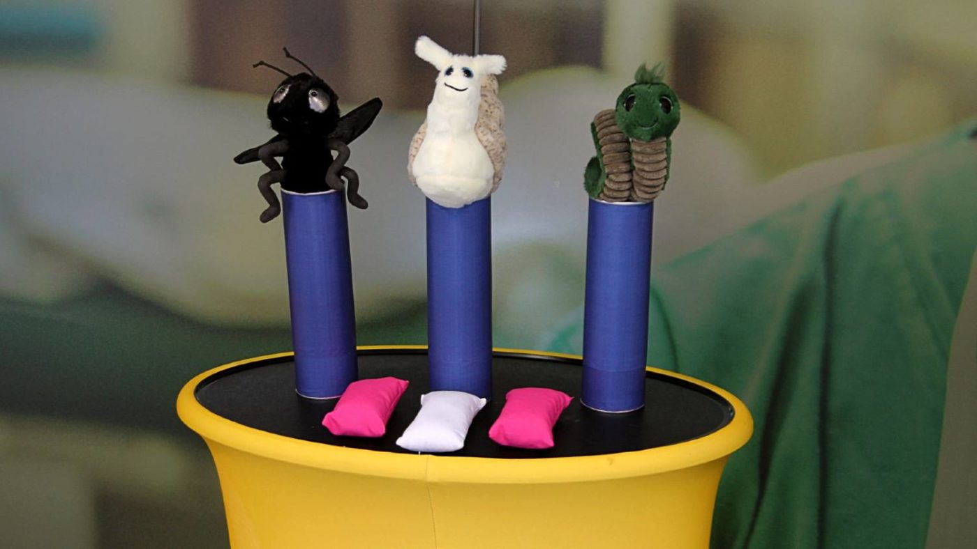 A plush toy fly, snail, and worm are set up in a coconut-shy styled 'elimination' game,