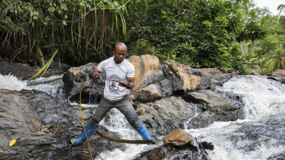 A man stands in a fast-flowing river examining foliage for black flies.