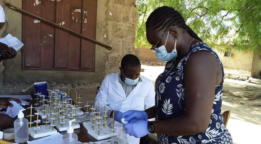 Pelagie collects blood samples in the field during a river blindness survey.