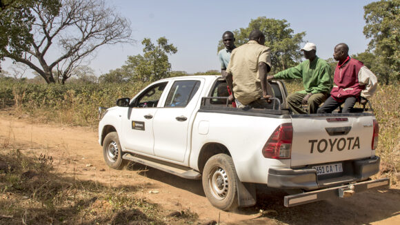 Four men sit on the back of a white truck with a Sightsavers logo on the door. They're driving through a dusty road in Mali, with trees on either side.