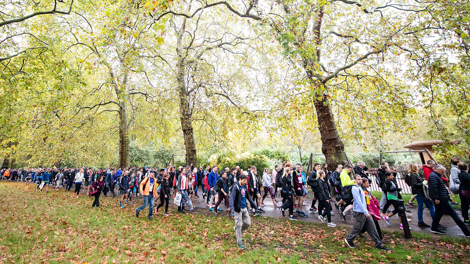 A large group of runners along a path beneath tall green trees.