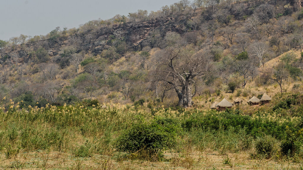 Grasslands in Mashonaland, Zimbabwe.