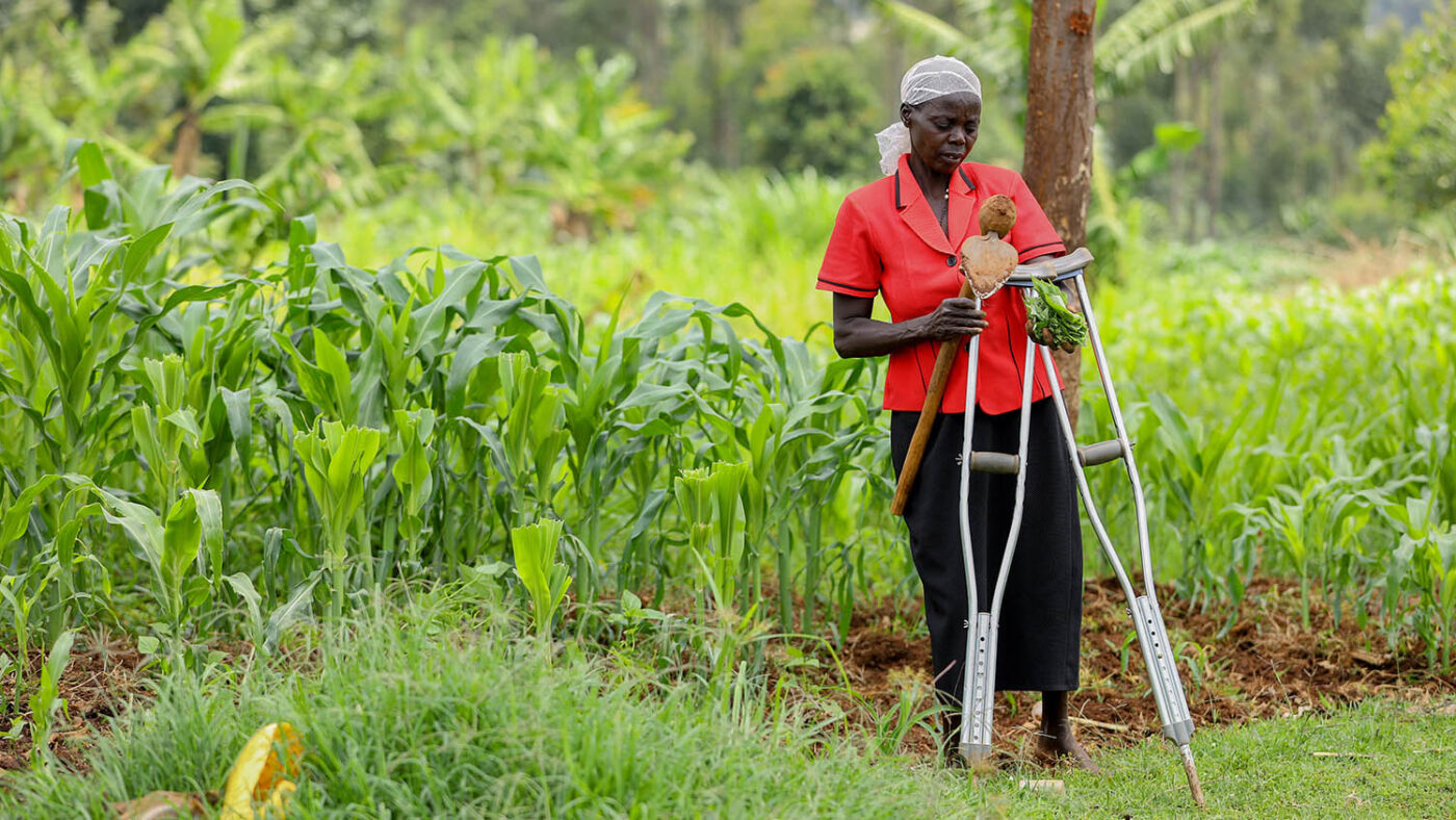 A female sorghum farmer stands in a field assisted by crutches.