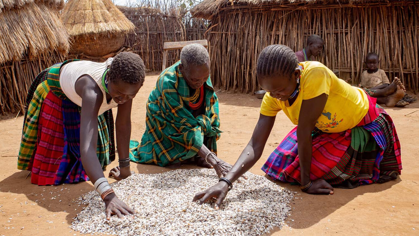 Nyangan sorts grain with her two granddaughters.