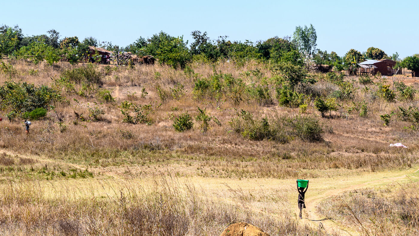 A landscape of dusty paths with bushes in Malawi. A girl walks along one of the paths with a bright green bucket on her head.