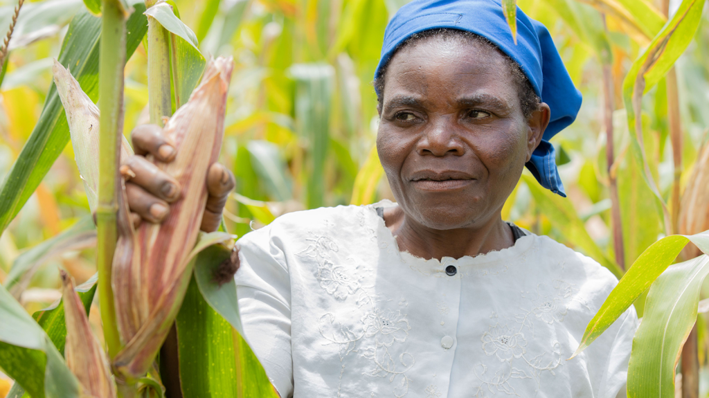 Margaret stands in a corn field with one hand around a corn plant.