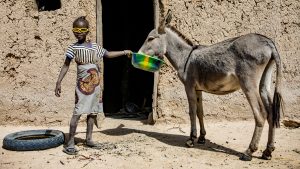 A young girl wearing bright yellow sunglasses smiles. She is standing in front of mud brick building and feeding a donkey from a green bowl.