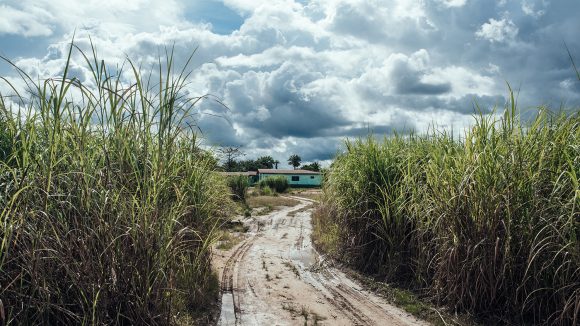 A muddy track leads through tall grasses to a single-storey building.